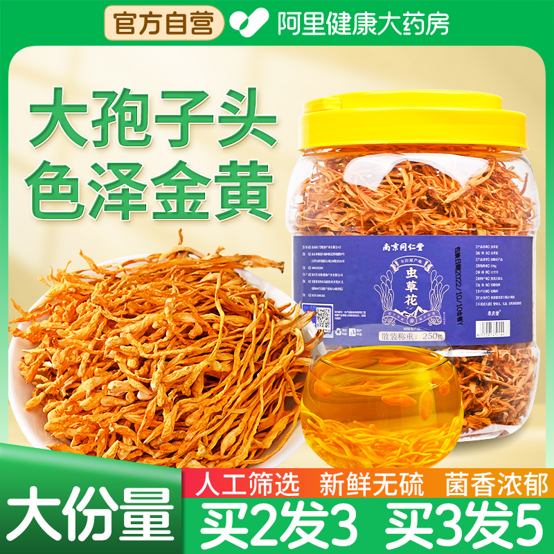 南京同仁堂虫草花干货250g特級野正品北金蛹虫草生旗舰店煲汤材料 传统滋补营养品 蛹虫草 原图主图