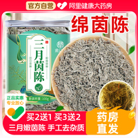 三月嫩茵陈中葯材正品白蒿棉阴沉鲜茵陈搭野生新鲜嫩芽土绵茵陈茶