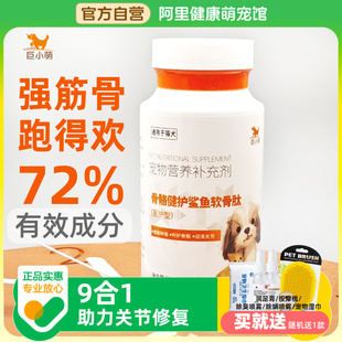 巨小萌鲨鱼软骨素宠物骨骼健护软骨肽宠物补钙猫狗保护关节修复