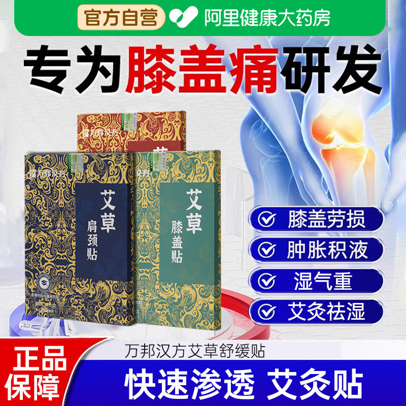艾灸贴全身艾灸万邦汉方0.5一片图片