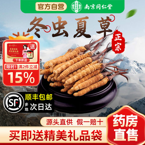 同仁堂冬虫夏草礼盒装头期虫草