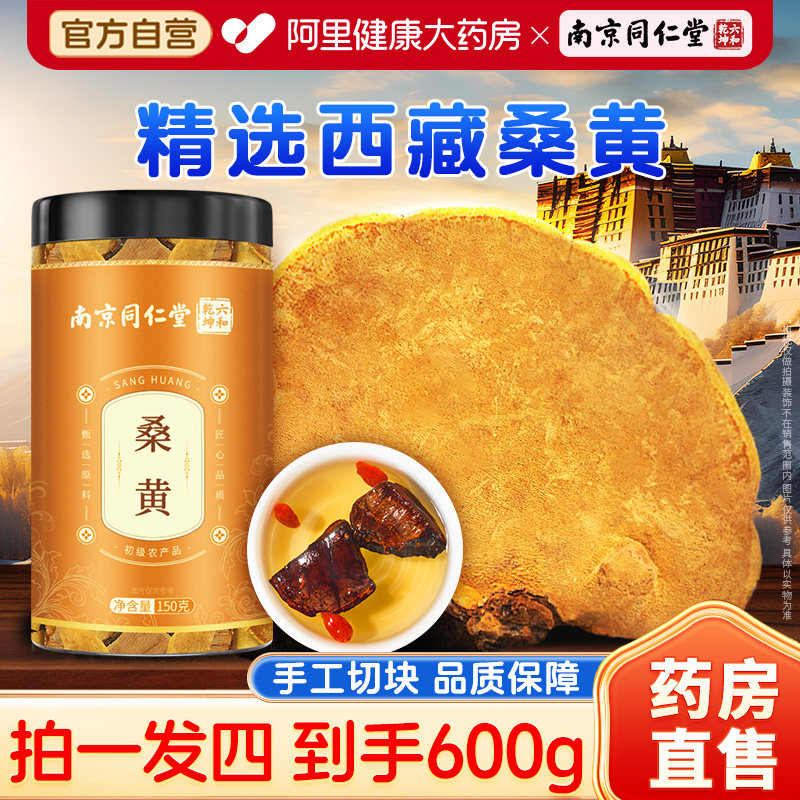 南京同仁堂桑黄西藏正宗林芝桑树灵芝正品泡茶水桑黄茶旗舰店官方