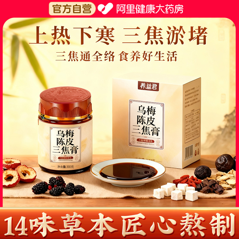 养益君乌梅陈皮三焦膏茯苓莲子枸杞滋补山药肉桂祛淡竹叶湿养生膏