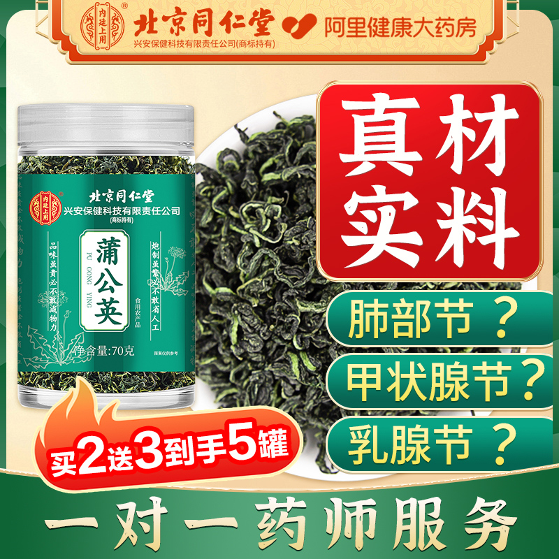 同仁堂蒲公英散茶叶去火茶野生特