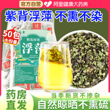 紫背浮萍代茶饮搭桑叶红花中药材浮萍丸泡茶一味药当归侧柏叶洗头