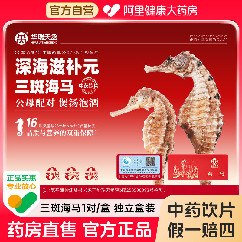华瑞天丞三斑海马干中药饮片一公一母田七春季高煲汤泡酒中药材