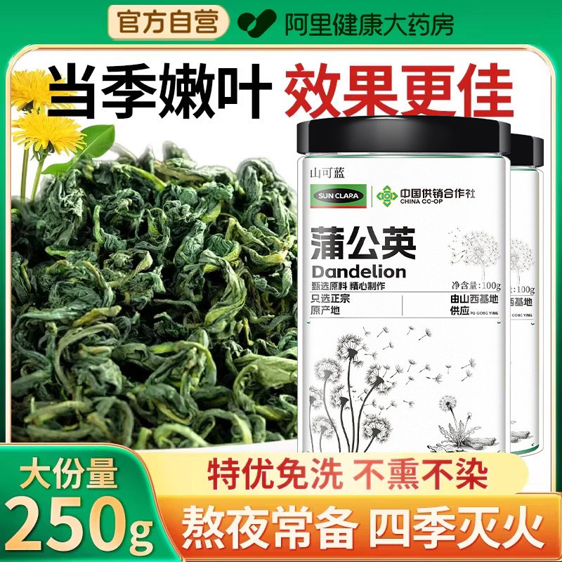 蒲公英茶正品特优级中草药材新鲜蒲公英根官方旗舰店去火散茶泡水