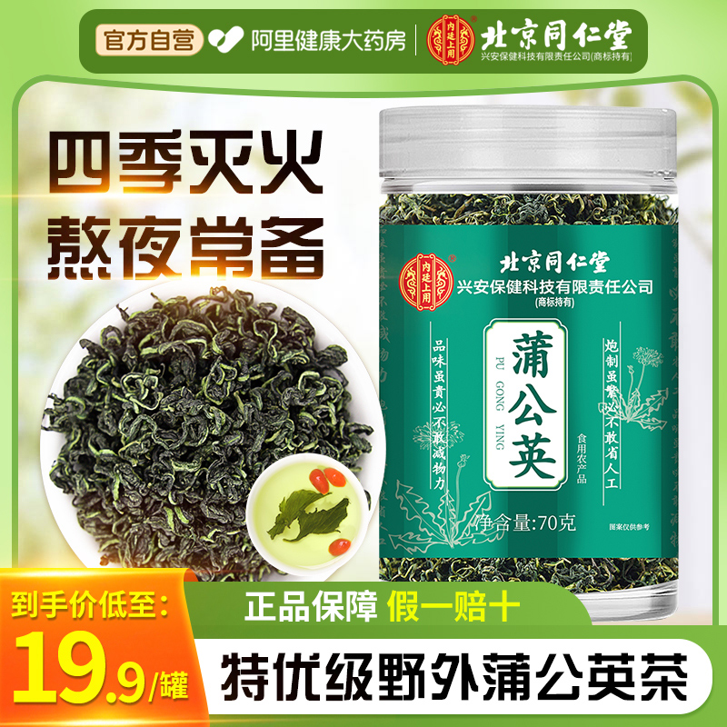 肝火旺郁结喝】同仁堂蒲公英茶叶