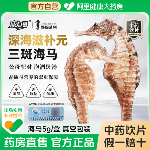 【魔力哥】精选海马5g/盒药典标准中药饮片一公一母配对煲汤泡酒