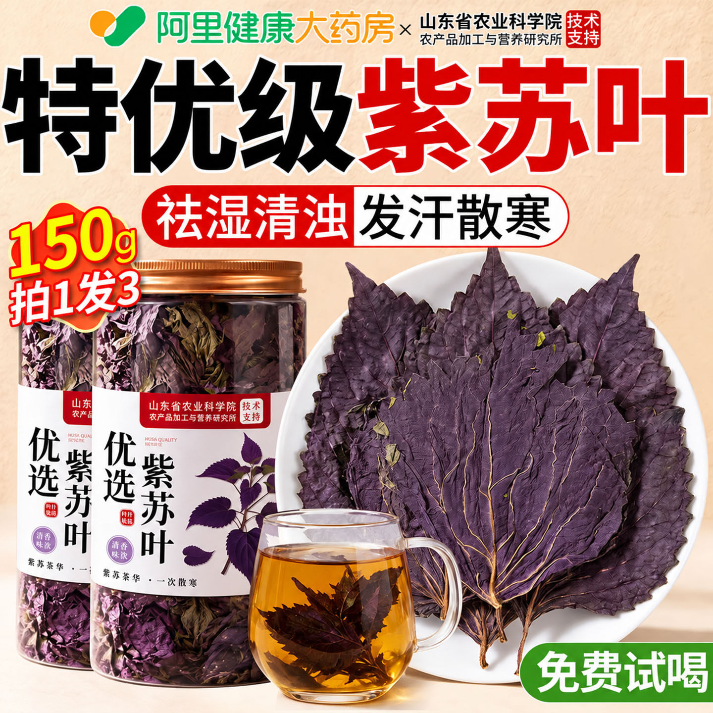 紫苏叶新鲜食用中药材泡水喝的功效与作用子叶祛官方旗舰店正品湿