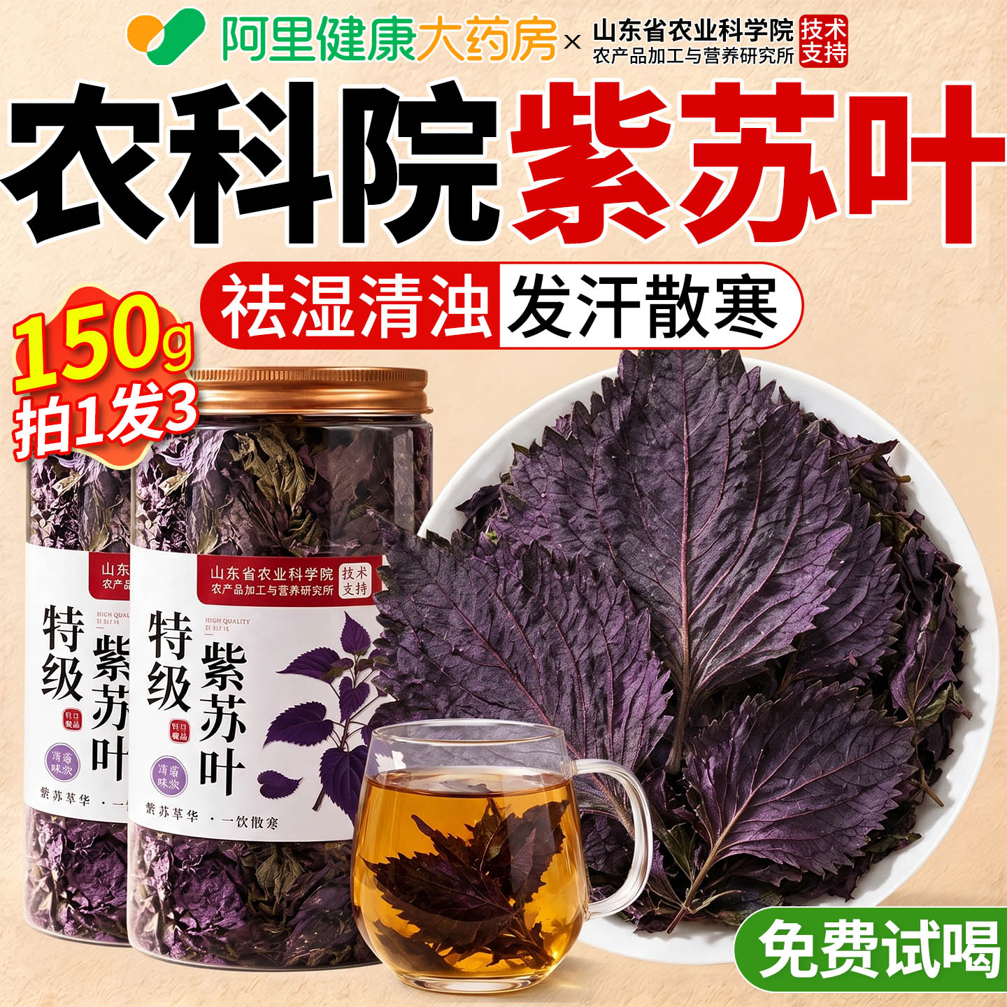 紫苏叶新鲜食用中药材泡水喝的功效与作用子叶祛官方旗舰店正品湿