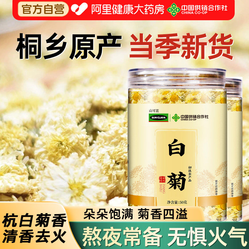 白菊官方店特优级正品菊花茶搭浙江桐乡杭白菊去清火热养肝明清目