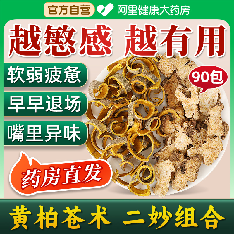黄柏苍术组合泡水搭和二妙散中薬材茶包正品的功效作用官方旗舰店