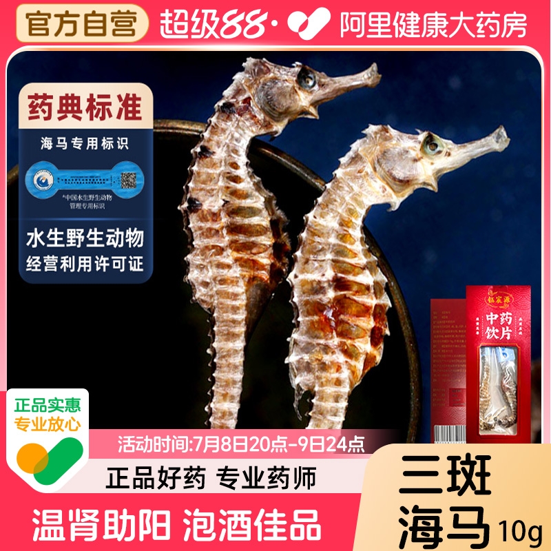钰宸源三斑海马10g/盒公母配对温肾助阳泡酒中药材海马干货中饮片