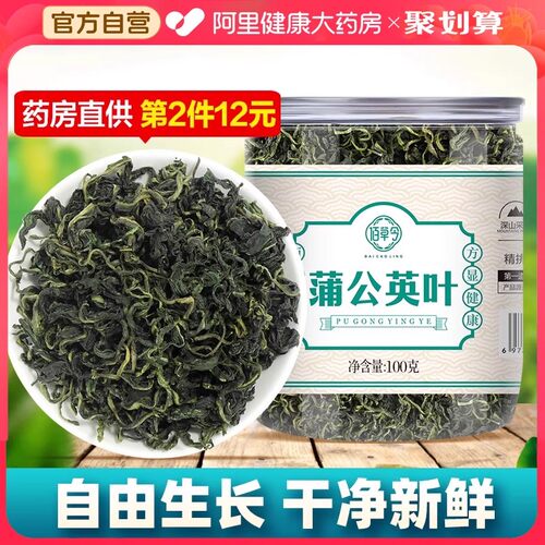 阿里健康自营蒲公英叶茶