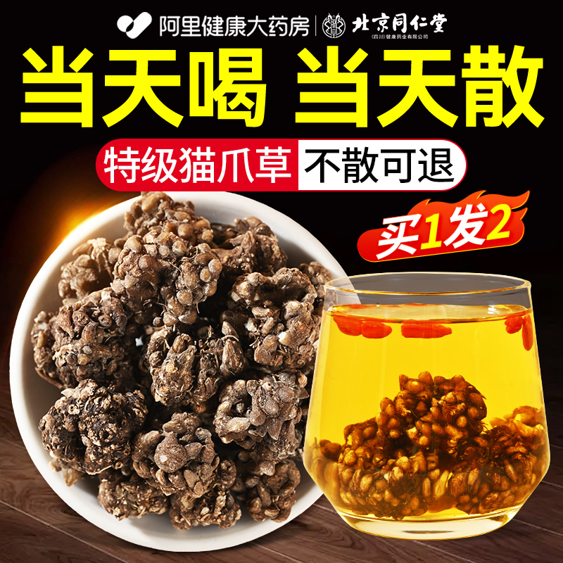 北京同仁堂猫爪草野生消散中干货药材结节养生茶蒲公英夏枯草猫抓
