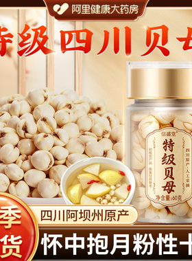 野生特级四川贝母中药材无硫儿童止咳化痰枇杷秋梨膏清热润肺正品