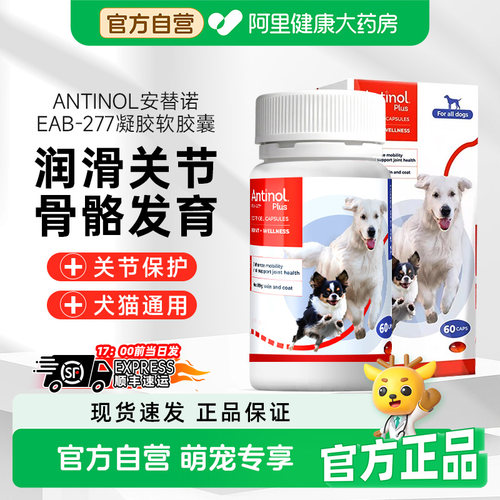 安替诺Antinol277髌骨脱位软骨素猫狗宠物关节强炎腰椎骨刺安它诺
