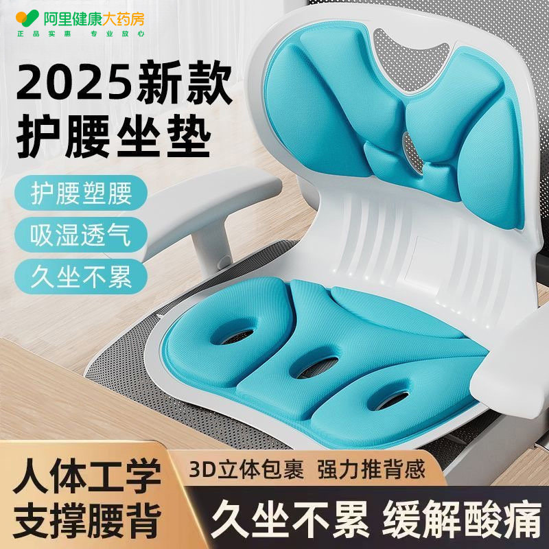 人体工学护腰坐垫办公室学生矫正坐姿成人靠背垫久坐座椅神器开车