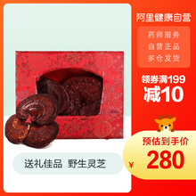 北京同仁堂灵芝300g整枝礼盒灵芝可打粉切林芝片泡茶滋补煲汤泡酒