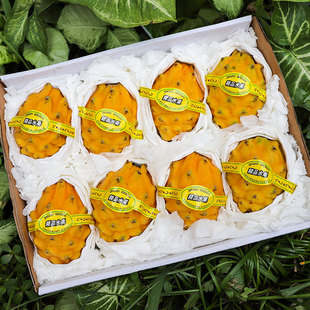 海南燕窝果新鲜麒麟果海南三亚燕窝果新鲜黄色火龙果海南热带水果