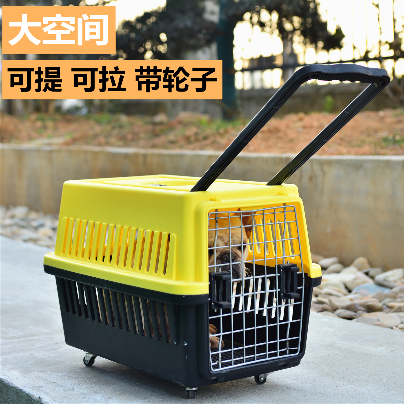 搗蛋鬼拉桿手提帶輪子泰迪外出箱