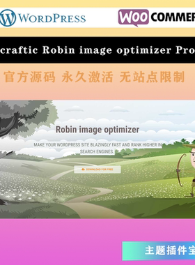 Webcraftic Robin image optimizer Pro图片专业压缩优化加速插件