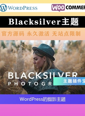 Blacksilver专业摄影 WP主题 Wordpress高级模板不限站点永久使用
