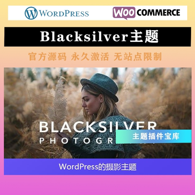 Blacksilver专业摄影 WP主题 Wordpress高级模板不限站点永久使用