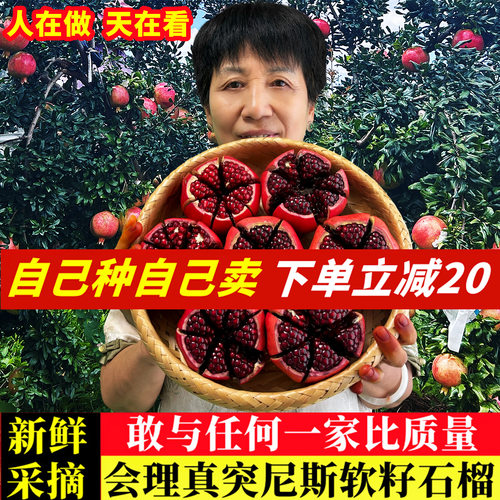 官方推荐|正宗会理软籽石榴