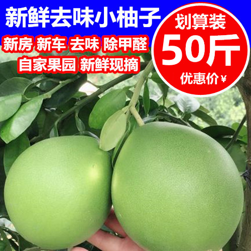 小柚子新鲜现摘除异味装修柚子皮