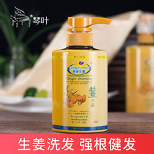 琴叶生姜防脱正品老姜汁蜜发洗发露1