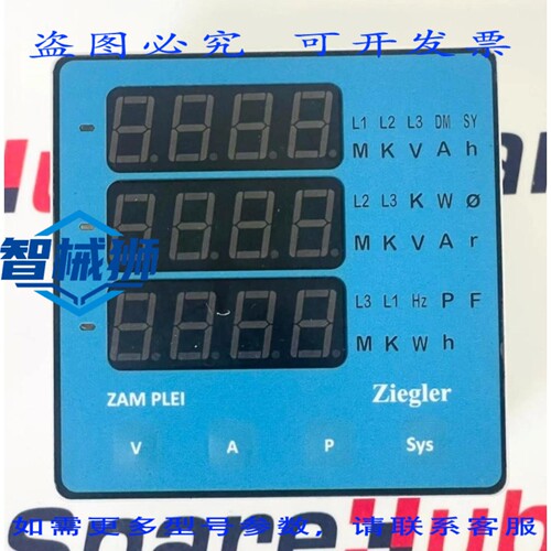 现货供应 ZIEGLER ZAM PLEI 仪表