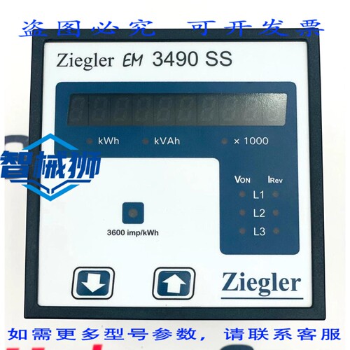现货供应 ZIEGLER EM3490SS 仪表