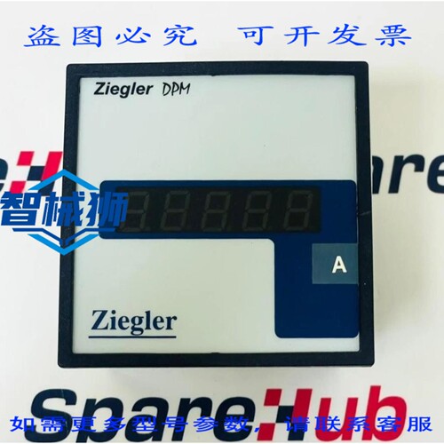 现货供应 ZIEGLER DPM 196AN 数字面板表