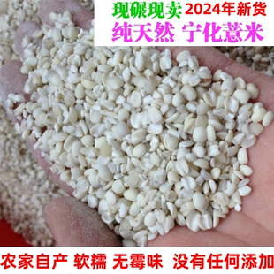 2025年新米宁化淮土薏米糯薏米仁500克绝无硫熏现碾现卖干货
