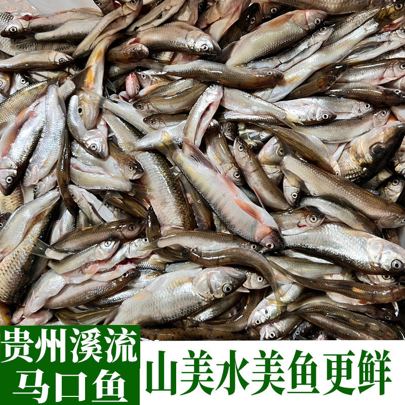 贵州新鲜马口鱼野钓原生小河鱼现杀桃花鱼溪流鱼花杈鱼山鳡鱼食用,水产肉类/新鲜蔬果/熟食,淡水鱼类,淘宝优惠券,粉丝福利购,淘宝优惠卷