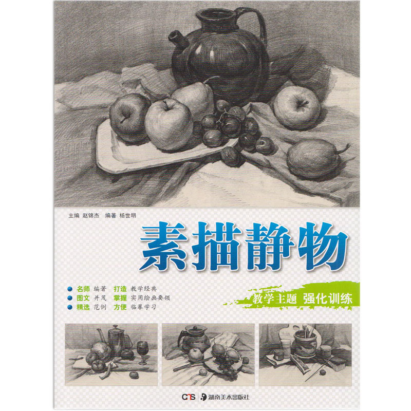美术素描绘画技法教程参考书籍  教学主题 强化训练 素描静物