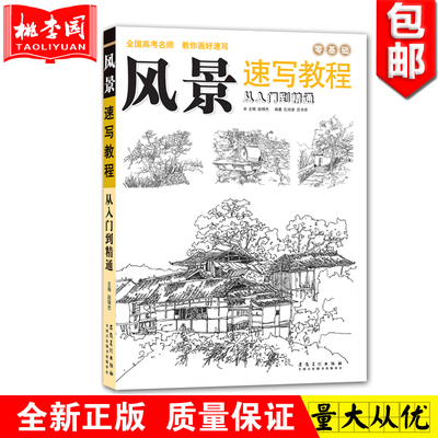 正版包邮 零基础风景速写教程 从入门到精通 全国高考名师教你画好速写 安徽美术出版