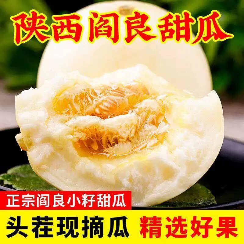 正宗陕西阎良甜瓜新鲜水果当季现摘脆甜蜜瓜白瓜香瓜