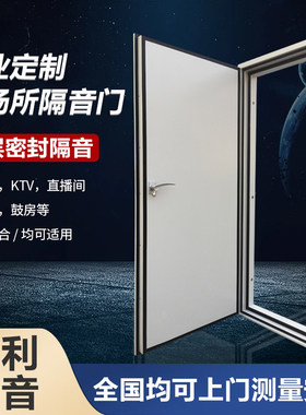 防火隔声门厂家直销声盾钢制平开