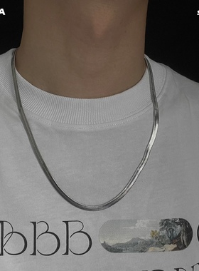 日系扁平细蛇骨项链叠戴男生士锁骨小众轻奢高级感配饰品夏季长款