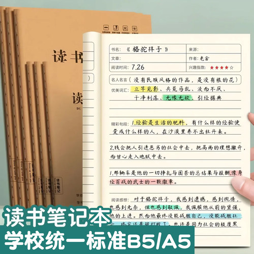 a5b5好词好句加厚语文三年级