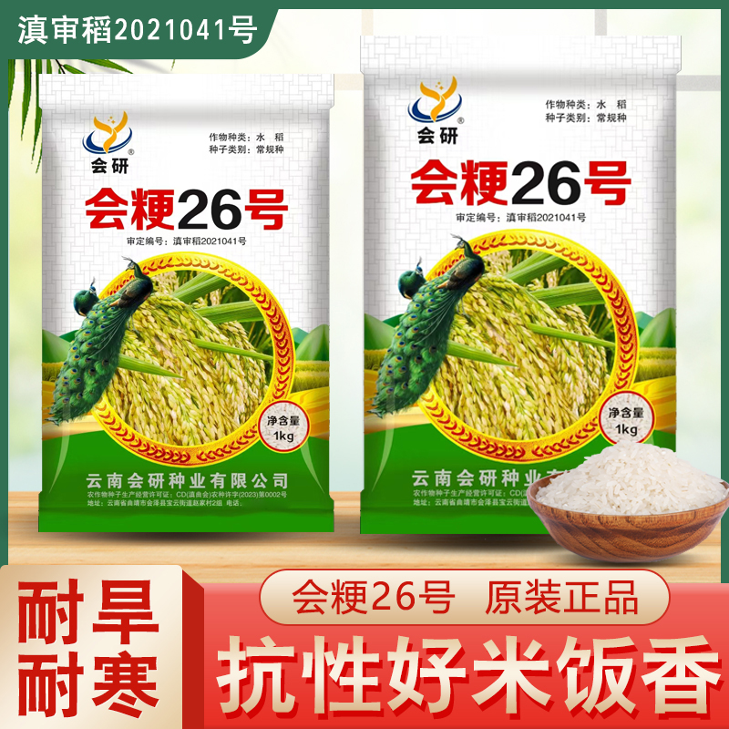 26号水稻种子杂交水稻高产抗病