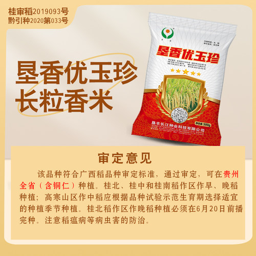垦香优玉珍长粒香米种子水稻种