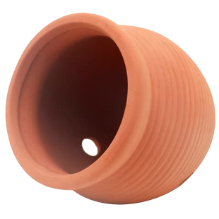 海葵窝巢奶嘴罐家杯海葵家地毯屋窝奶嘴杯容器防跑小丑鱼繁殖罐