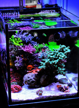 坦森全套海水缸海水珊瑚缸小型超白背滤海缸新手海缸全套设备套缸