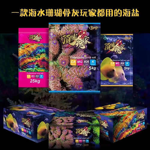 顶玩家海水珊瑚海盐丰富营养元素