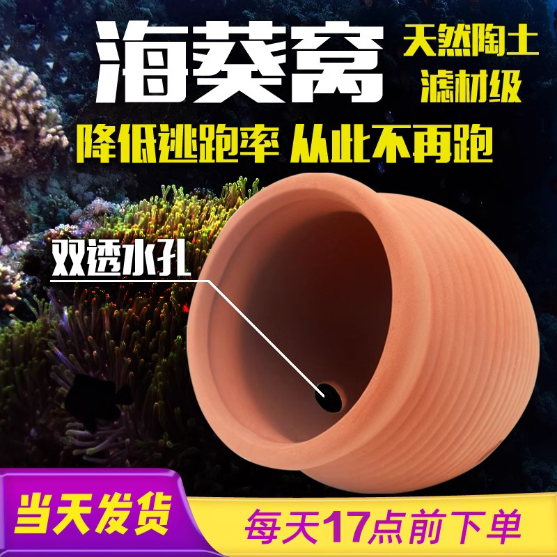 坦森水族海葵奶嘴躲藏罐