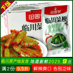 田园梦临川菜梗52g/36g/86g/216g鲜辣腌芥菜梗下稀饭江西抚州特产